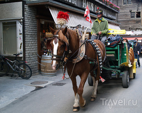 Трансфер на повозке с лошадьми / Фото из Швейцарии