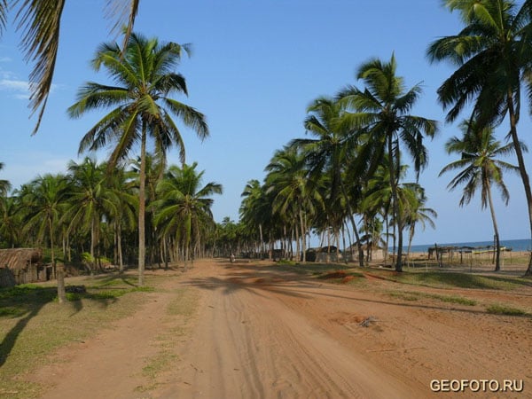 Дорога вдоль побережья Бенина / Фото из Бенина