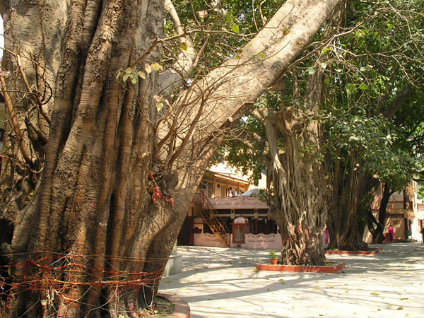 Внутренний двор ашрама в Ришикеше / Фото из Индии