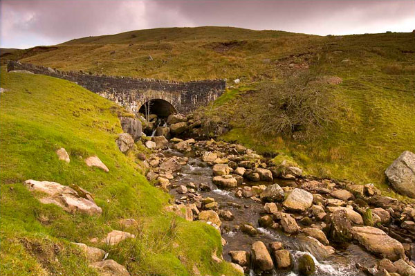 Ручей в долине, Шотландия / Фото из Великобритании