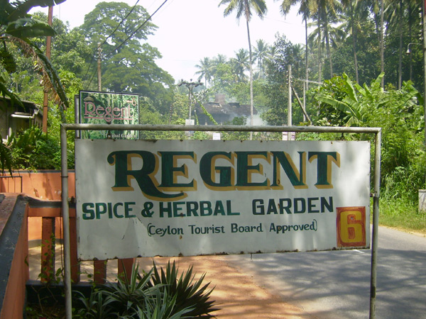     Regent     /   -