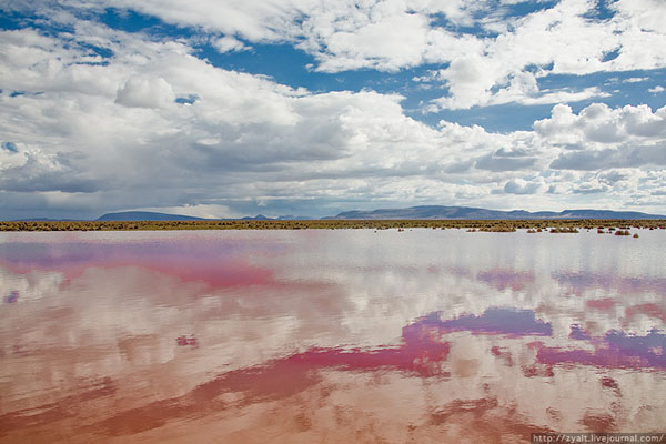 Красное озеро в Боливии / Фото из Боливии