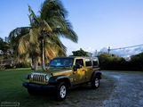 Jeep Wrangler Unlimited / -