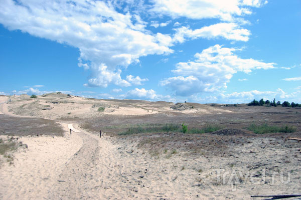 Дюна Агилос природного резервата Нагляй / Фото из Литвы