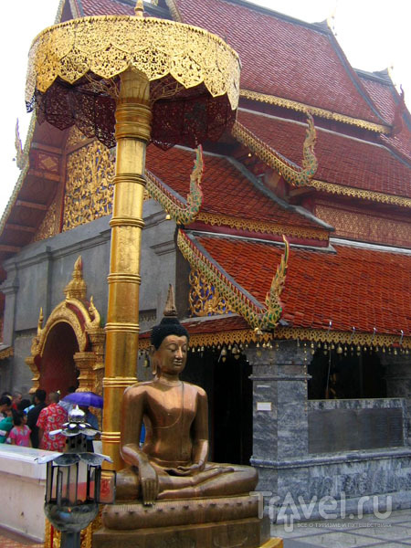 Зонтик для Будды в храме Ват-Пратхат-Дой-Сутеп / Фото из Таиланда