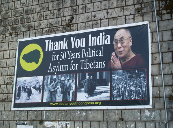 Благодарность Индии за 50-летнее прибежище / Фото из Индии