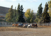 Ruta de toros,   / 