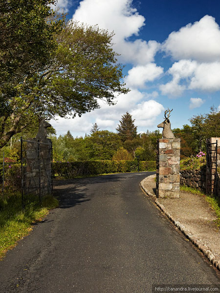 Дорога в национальном парке Гленвей, Ирландия / Фото из Ирландии