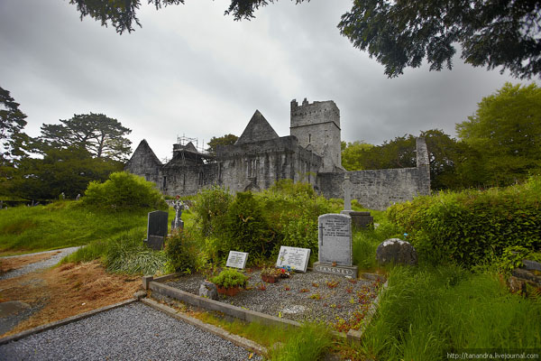 Вид на аббатствао Макросс, парк Килларни / Фото из Ирландии