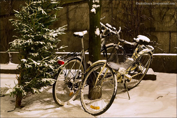 Заснеженные велосипеды в Стокгольме / Фото из Швеции