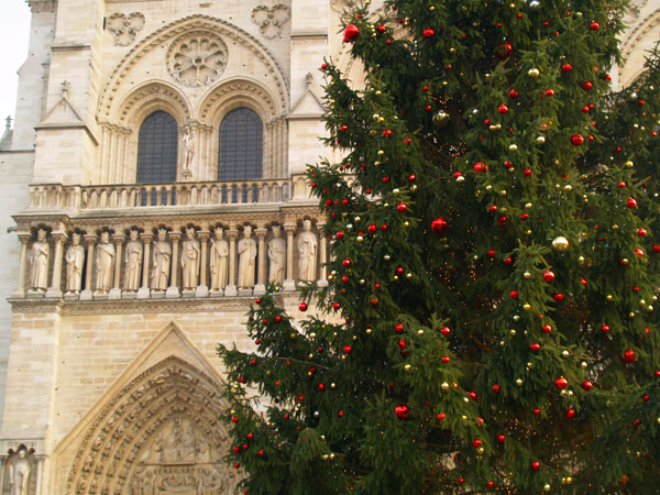 Рождественская елка перед собором Нотр-Дам, Париж / Фото из Франции