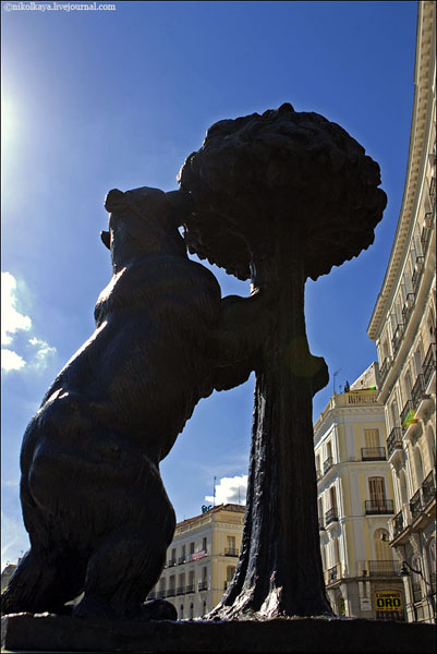 Медведь на площади Пуэрта-дель-Сол - символ Мадрида / Фото из Испании