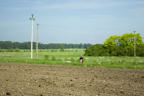 Земледелием на Кихну всегда занимались женщины / Фото из Эстонии