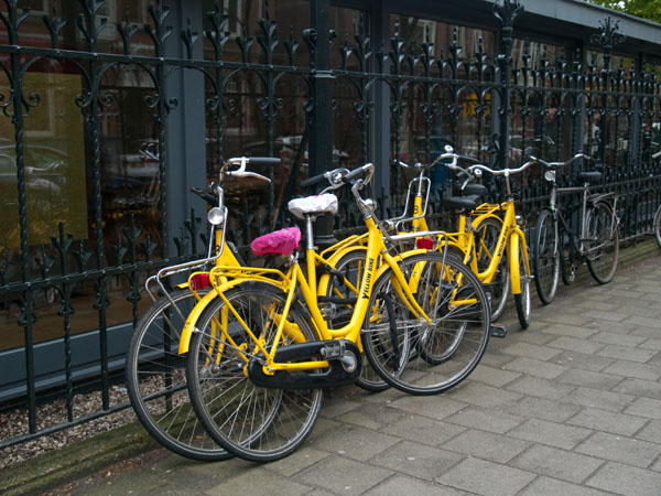 Yellow Bike -        /   