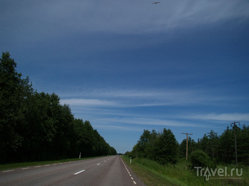 Дорога на острове Муху / Фото из Эстонии