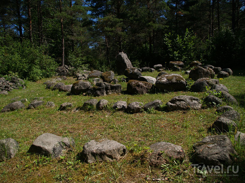 Стоянка древнего человека в местечке Мяла / Фото из Эстонии