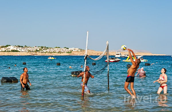 На пляже в Наама-Бей, Шарм-эль-Шейх / Фото из Египта