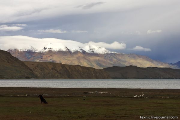 У озера Манасаровар на Тибете / Фото из Китая