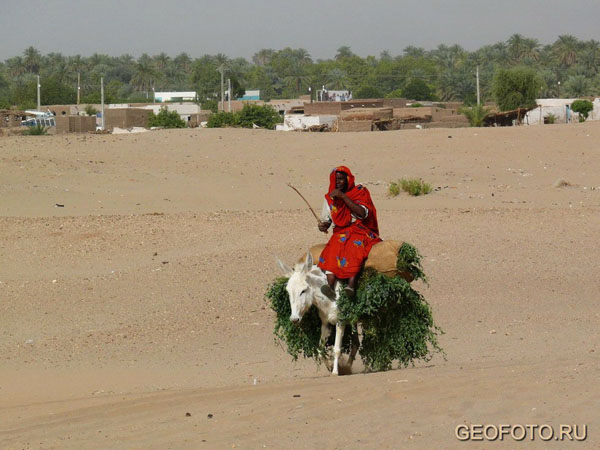 Местная жительница в долине Нила у Керимы / Фото из Судана