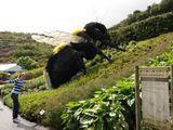 Гигантская пчела / Великобритания