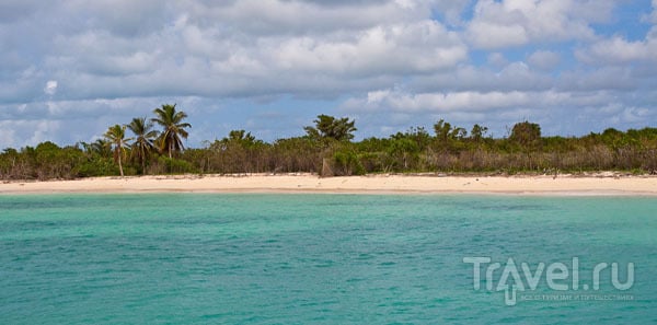 Типичное побережье Барбуды / Фото из Антигуа и Барбуды