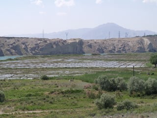 Поля / Таджикистан