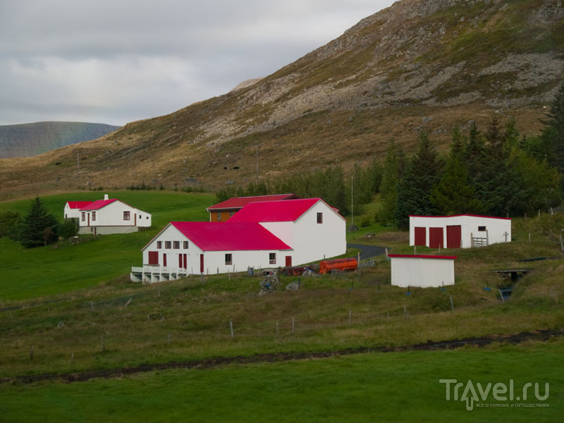 Яркие домики украшают исландские берега / Фото из Исландии