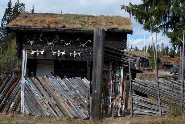 Забор кемпинга из старых лыж в Норвегии / Фото из Норвегии