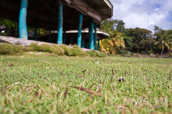 Газонная трава на Самоа / Фото с Западного Самоа