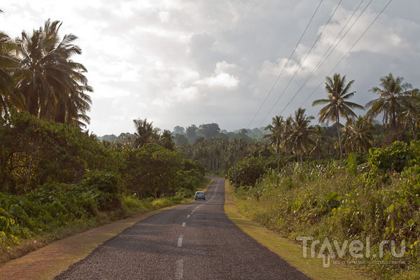 Газоны вдоль дорог на Самоа / Фото с Западного Самоа