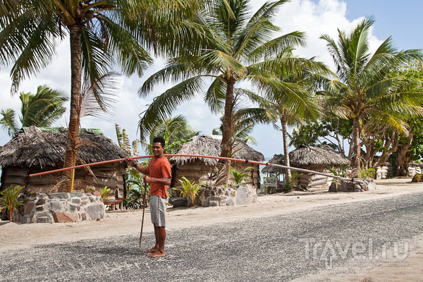 Местный житель, Самоа / Фото с Западного Самоа