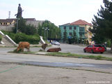 коровы / Албания