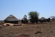 Дома и забор / Свазиленд