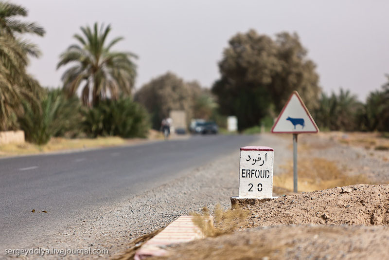 "Километровый" столбик на дороге в Марокко / Фото из Марокко