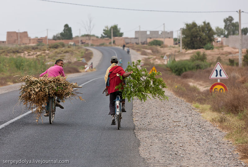 Велосипедисты на дороге в Марокко / Фото из Марокко