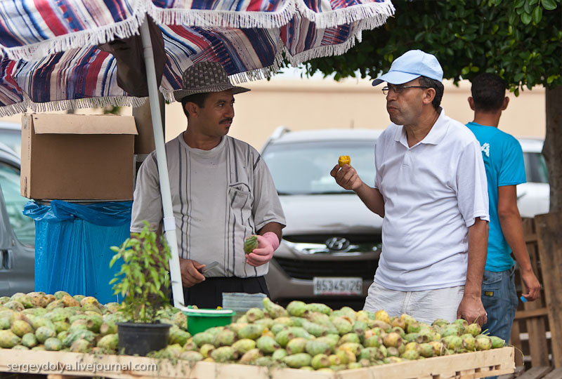 Съедобные плоды кактуса в Марокко / Фото из Марокко