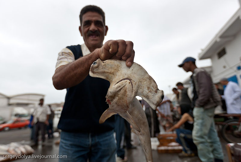 Рыбак в Агадире, Марокко / Фото из Марокко