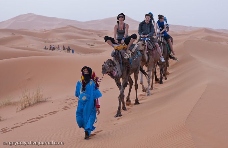 Караван с туристами в пустыне Сахара, Марокко / Фото из Марокко