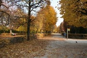 Осенние листья / Австрия