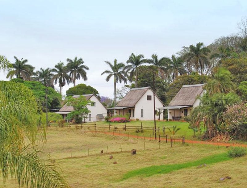 Гостевые дома на ферме в Свазиленде / Фото из Свазиленда