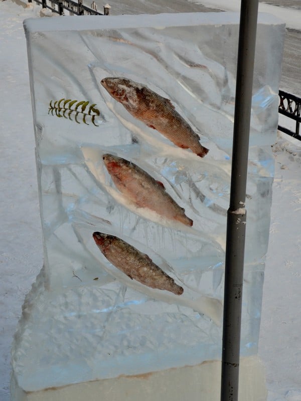 Вмерзшая в лед рыба, Якутск / Фото из России