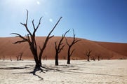 Долина Смерти / Намибия