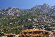 Гора Круя / Албания