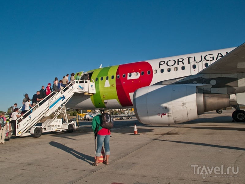 Самолет TAP Portugal в аэропорту Лиссабона / Фото из Португалии