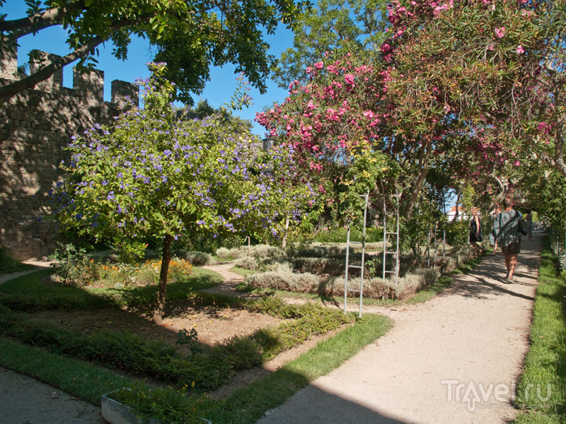 Сад внутри крепости, Тавира / Фото из Португалии