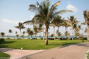    . Jebel Ali Palm Tree Court / 