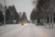 Дорога из Петергофа / Финляндия