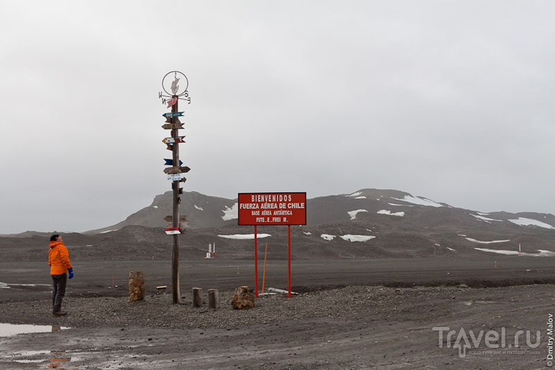 Столб с указателями расстояний у аэродрома Вилья-лас-Эстрельяс / Фото из Антарктики