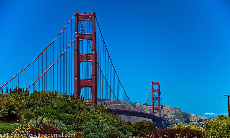 Golden Gate bridge  - /   