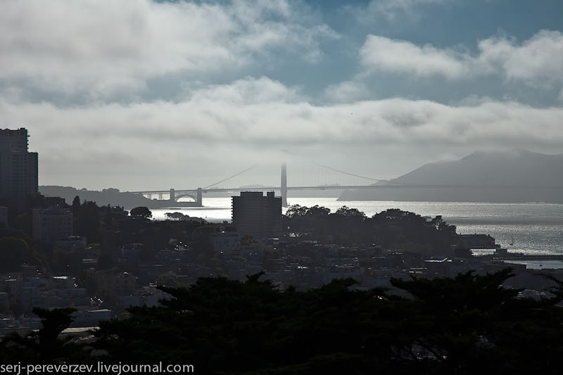    Golden Gate   Coit Tower, - /   